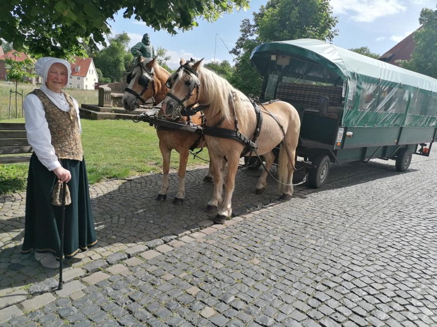 Planwagen Steinfurt 2